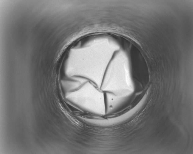 X0000056321507200509161629