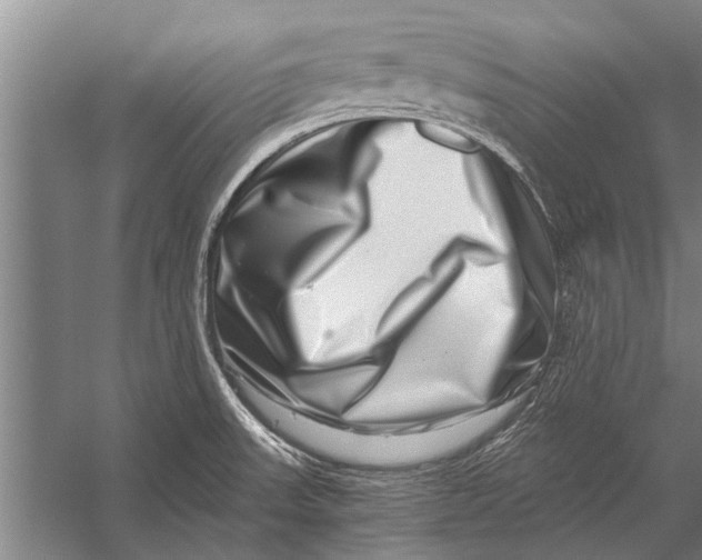 X0000056321523200509161630
