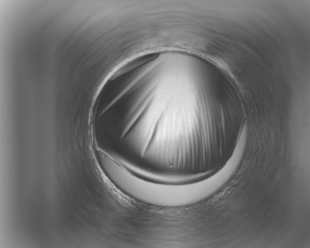 X0000056321524200509161630