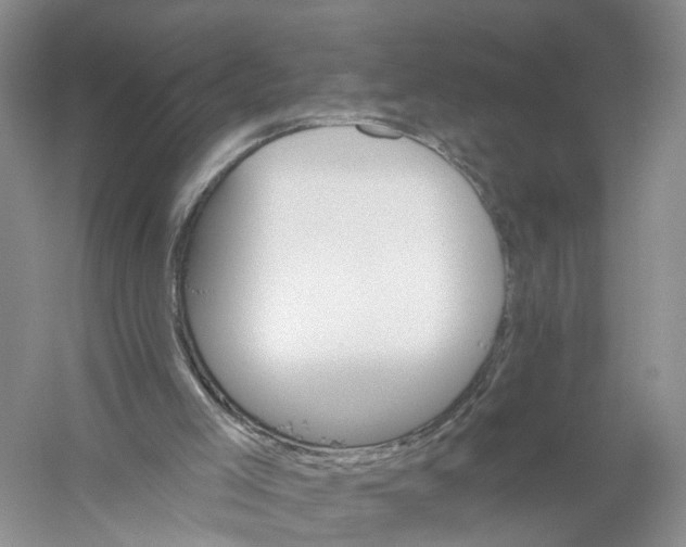 X0000056320005200509231959