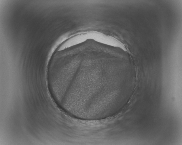 X0000056320006200509231959