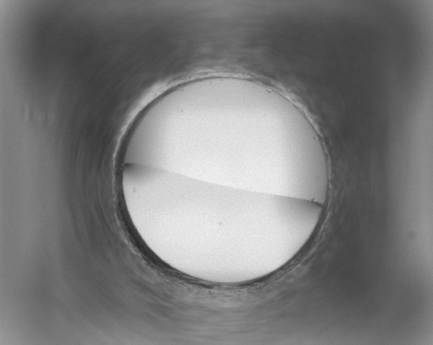 X0000056320008200509231959