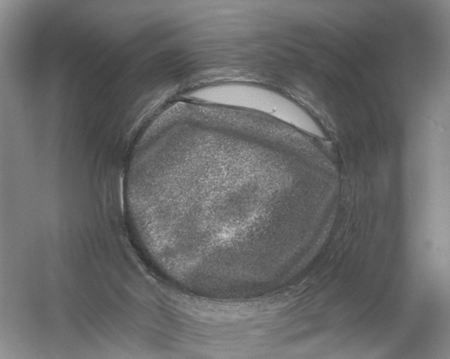 X0000056320014200509231958