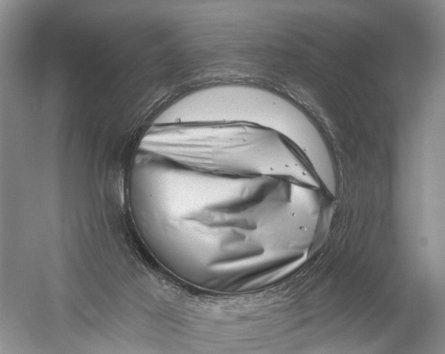 X0000056320021200509231958