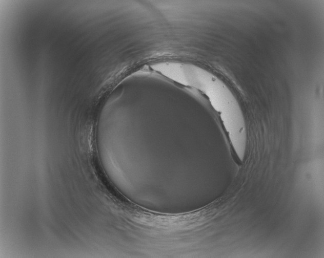 X0000056320023200509231958