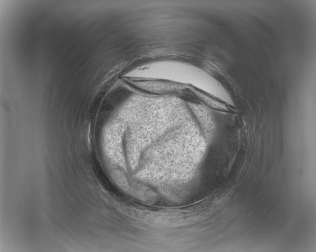 X0000056320024200509231958