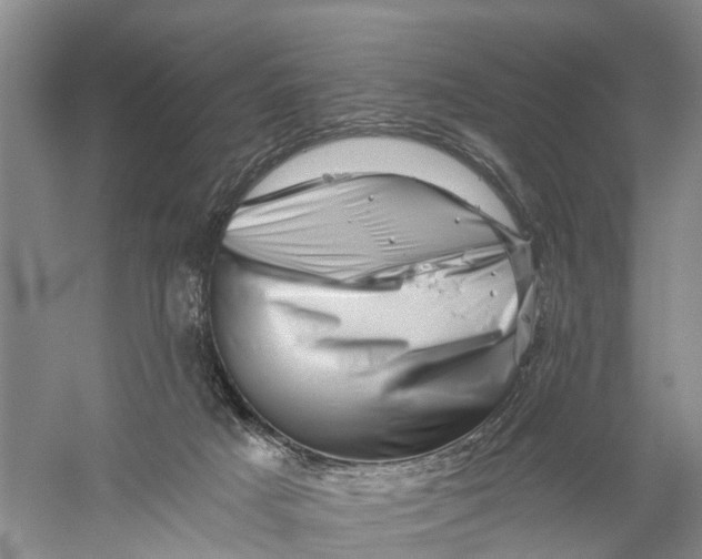 X0000056320025200509231958