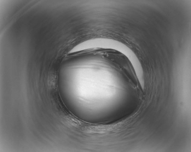 X0000056320033200509231958