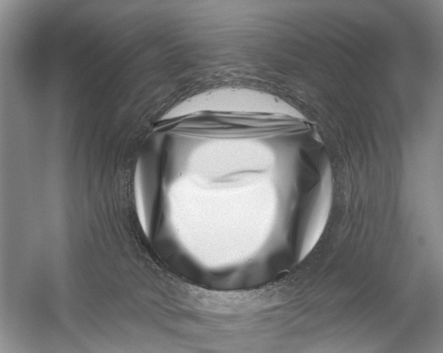 X0000056320034200509231958