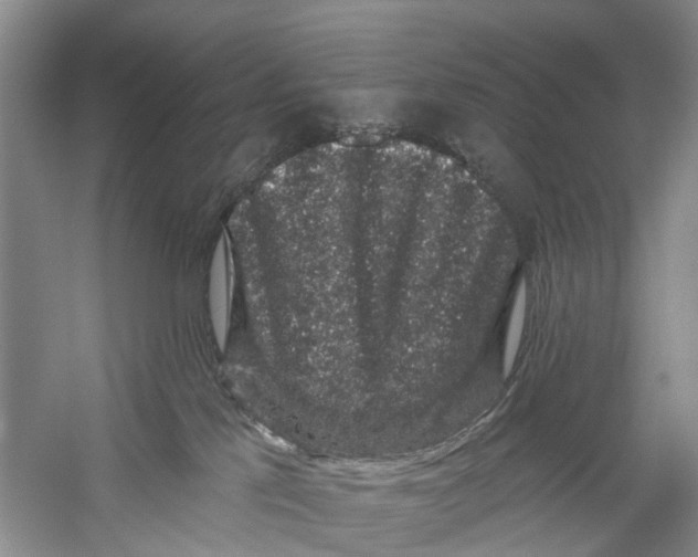 X0000056320041200509231958