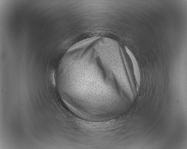 X0000056320042200509231958