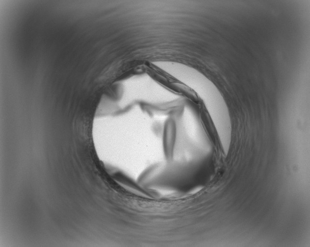 X0000056320044200509231958
