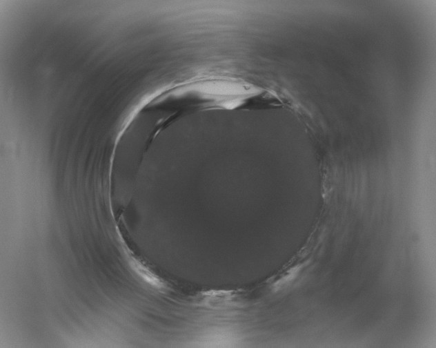 X0000056320052200509231957