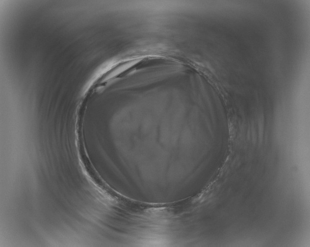 X0000056320054200509231957
