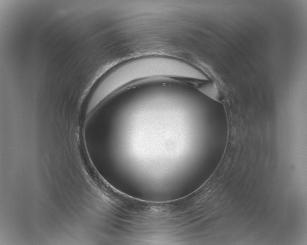 X0000056320060200509231957