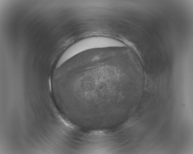 X0000056320061200509231957