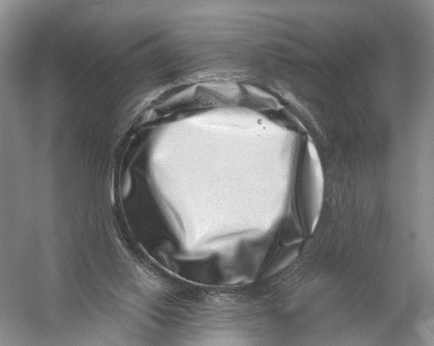 X0000056320062200509231957