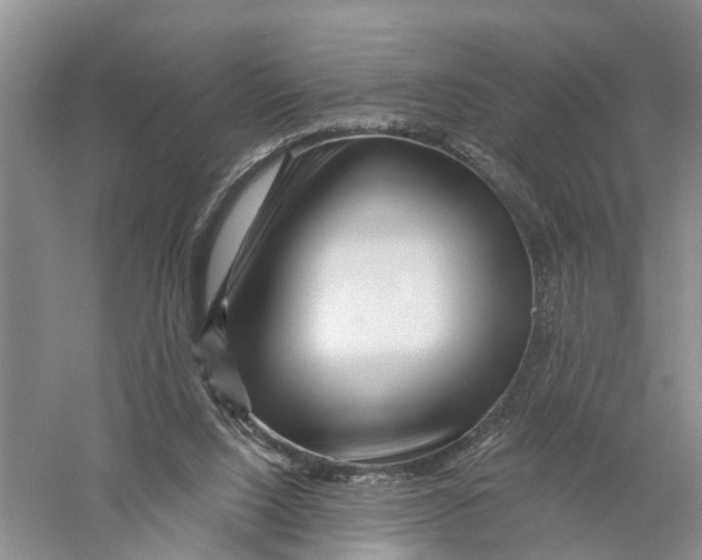 X0000056320064200509231957