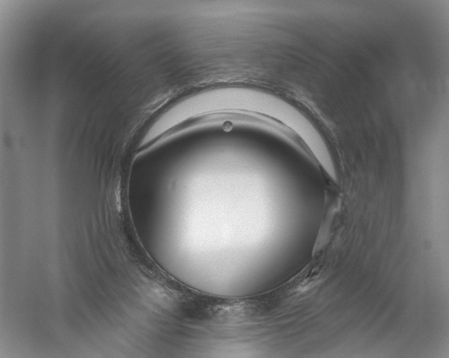 X0000056320068200509231957