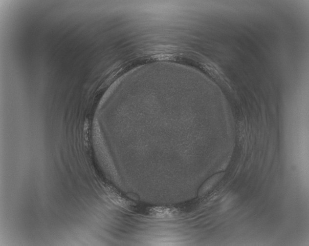 X0000056320073200509231957