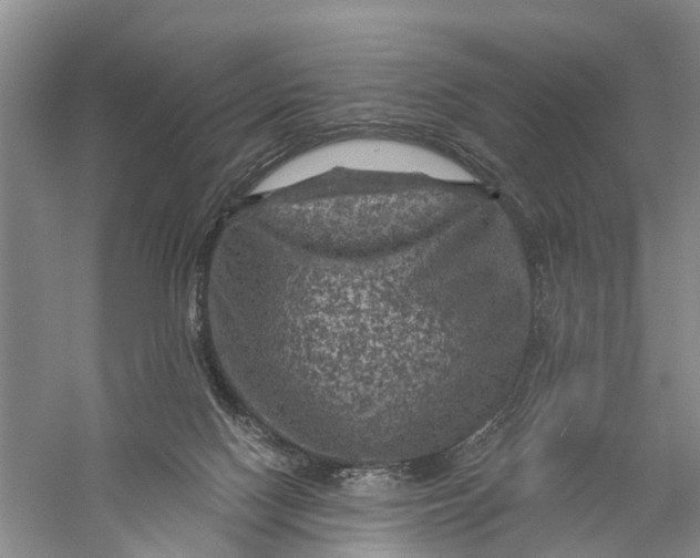 X0000056320074200509231957