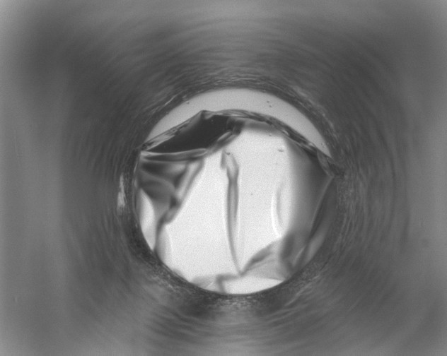 X0000056320075200509231957