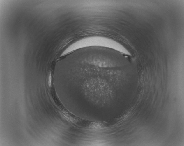 X0000056320076200509231957
