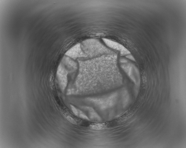 X0000056320079200509231958