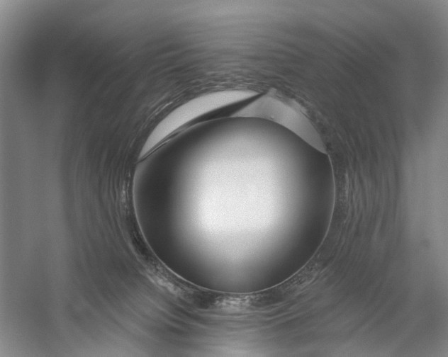 X0000056320084200509231958