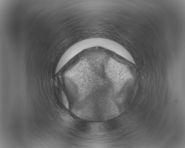 X0000056320085200509231958