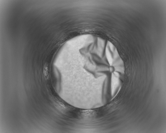 X0000056320087200509231958