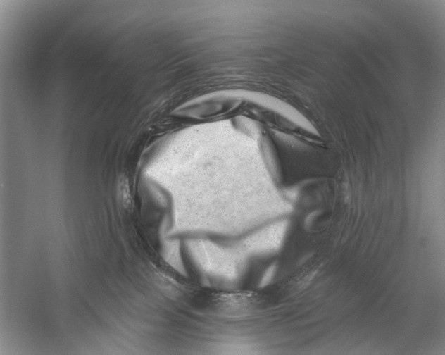 X0000056320089200509231958