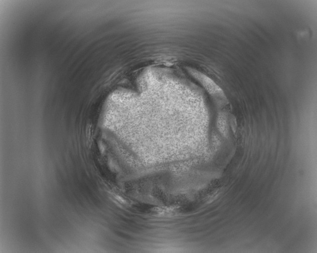 X0000056320093200509231958