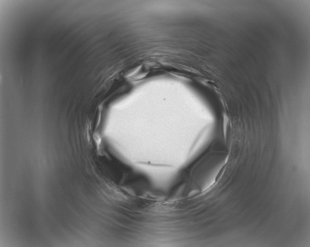 X0000056320094200509231958