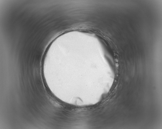 X0000056320100200509231957