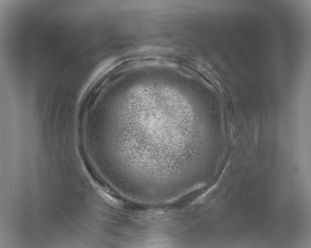 X0000056320101200509231957