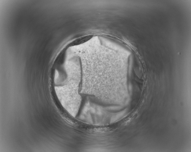 X0000056320103200509231957