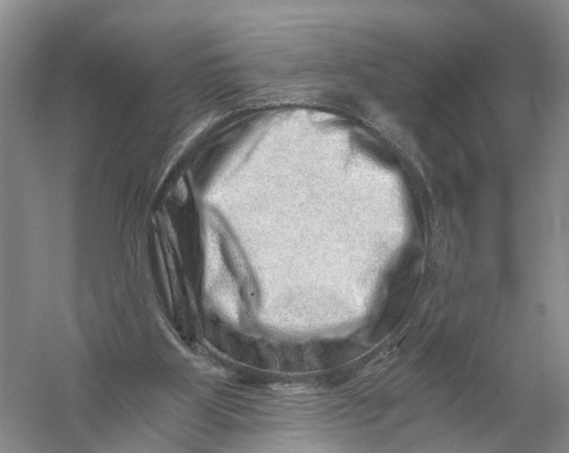 X0000056320107200509231957