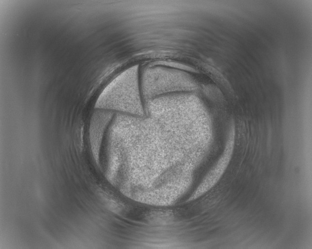 X0000056320110200509231957