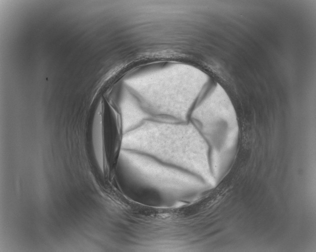 X0000056320111200509231957