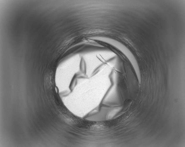 X0000056320119200509231957