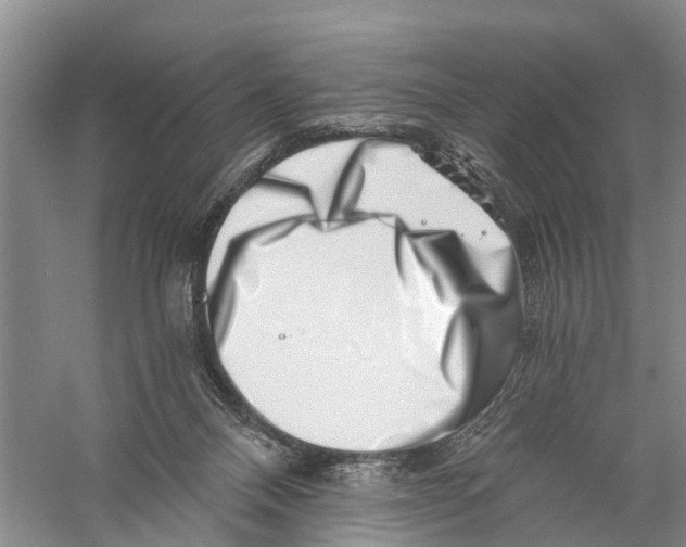 X0000056320120200509231957