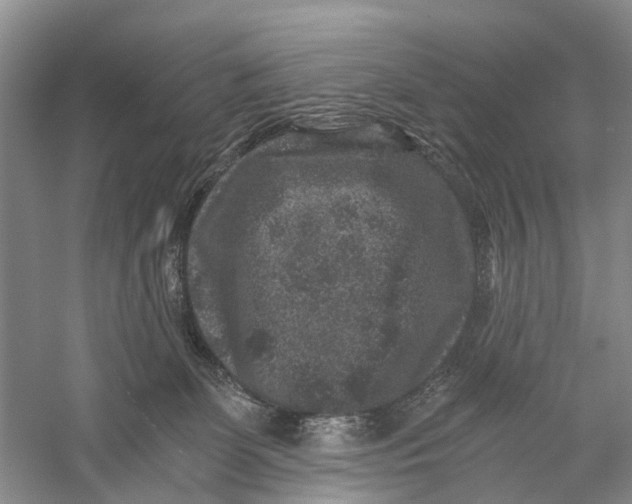 X0000056320131200509231956