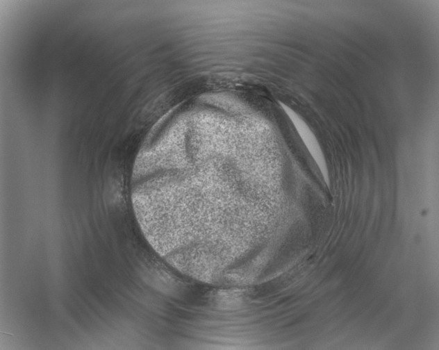 X0000056320134200509231956