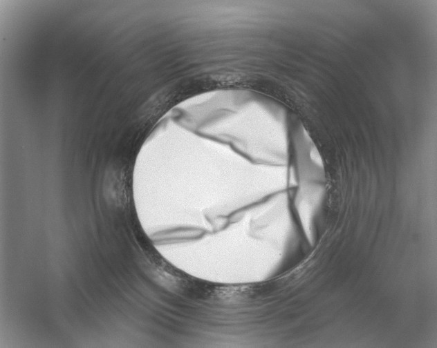X0000056320136200509231956