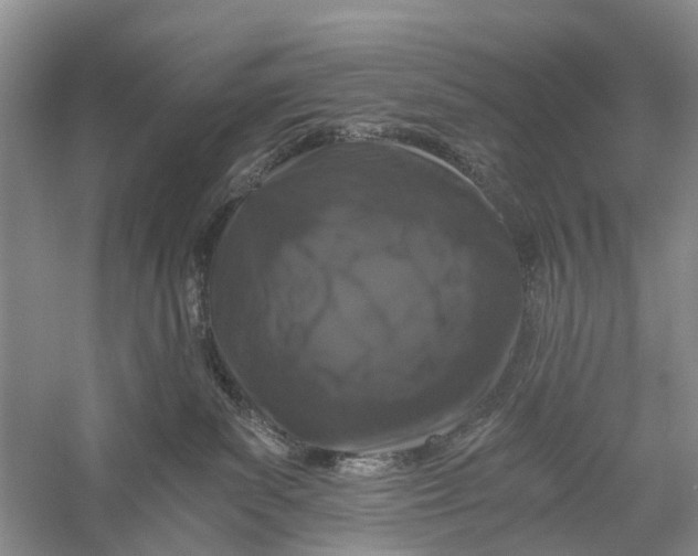 X0000056320139200509231956