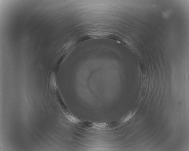X0000056320143200509231956