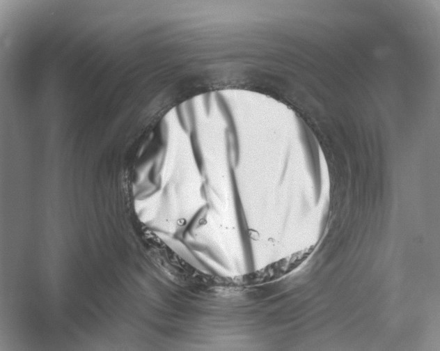 X0000056320144200509231956