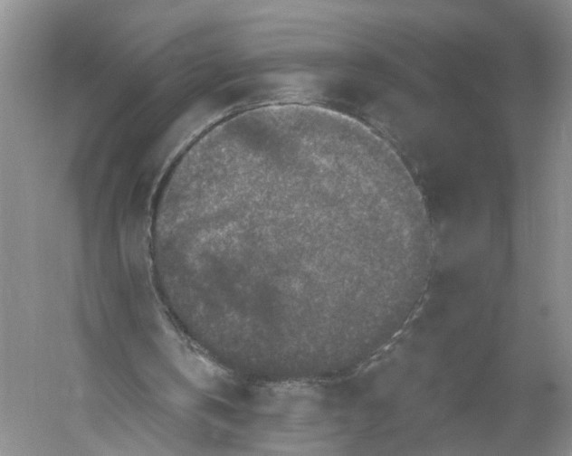 X0000056320146200509231955