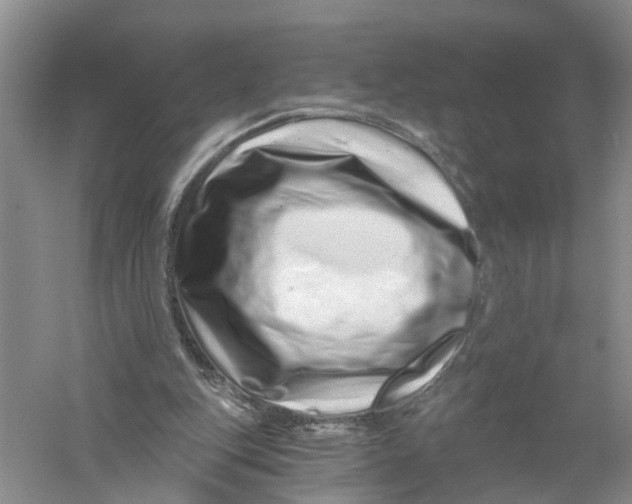 X0000056320151200509231955